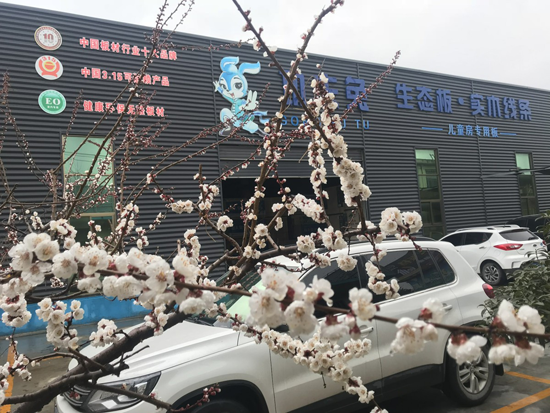 品牌榮譽(yù)|祝賀功夫兔板材獲“2018中國(guó)板材十大品牌”稱(chēng)號(hào)