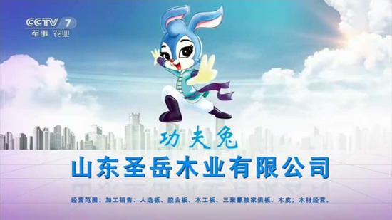 品牌榮譽(yù)|祝賀功夫兔板材獲“2018中國(guó)板材十大品牌”稱(chēng)號(hào)