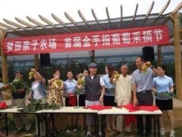 讓休閑農(nóng)業(yè)莊園頭疼的營(yíng)銷策劃：你需要一個(gè)動(dòng)聽的好故事