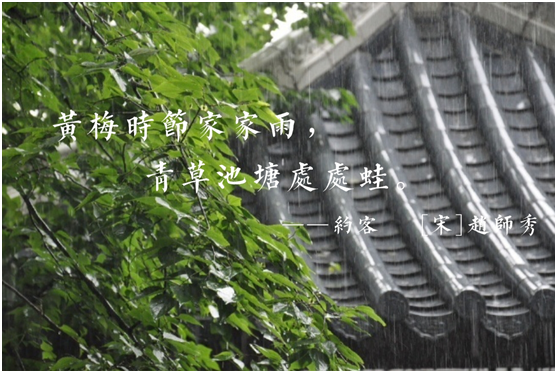 蒙蒂尼不銹鋼櫥柜，讓廚房告別梅雨季